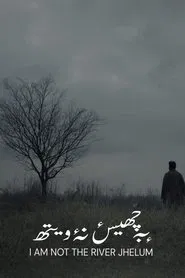 I'm Not The River Jhelum movie poster