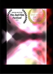 The Transparency Of Fabricated Sanity movie poster