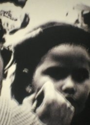 Beluga Crash Blues movie poster