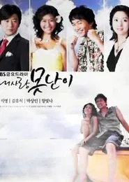 My Lovely Fool tv show poster
