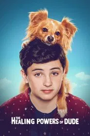 The Healing Powers of Dude tv show poster