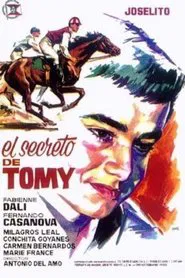 Poster do filme El secreto de Tomy