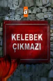 Kelebek Çıkmazı tv show poster