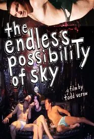 The Endless Possibility of Sky movie poster