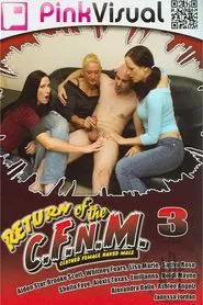 Return of the CFNM 3 movie poster
