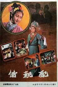 借亲配 movie poster