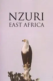 Poster do filme Nzuri: East Africa