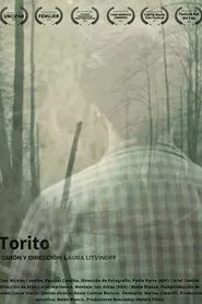 Torito movie poster