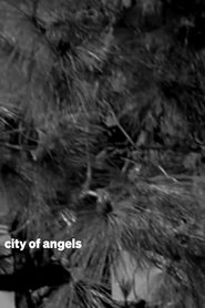 city of angels movie poster