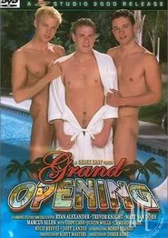 Grand Opening movie poster