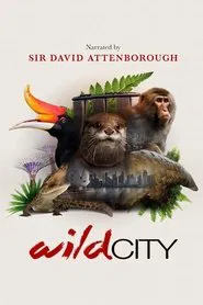 Wild City tv show poster
