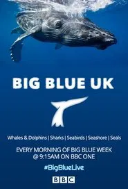 Big Blue UK tv show poster