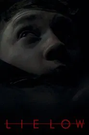Lie Low movie poster