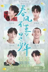 Youths in the Breeze tv show poster