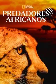 Poster da série Predadores Africanos