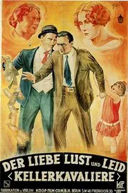 Der Liebe Lust und Leid movie poster