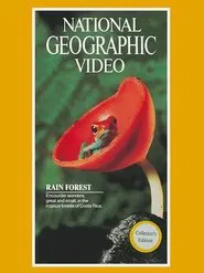Rain Forest movie poster