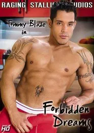 Forbidden Dreams movie poster
