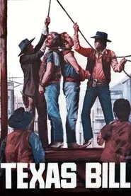 Poster do filme My Name Is Texas Bill