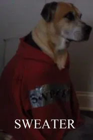 Sweater movie poster