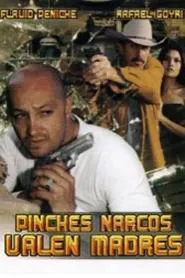 Pinches narcos... valen madre movie poster