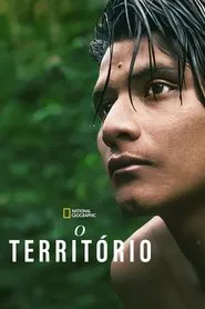 Poster do filme O Território