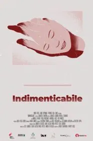 Indimenticabile movie poster