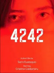 Poster do filme 4242