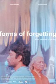 forms of forgetting movie poster