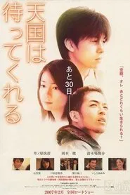 Heaven Can Wait. Maybe... movie poster