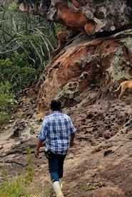 Afluente movie poster