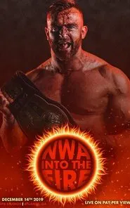 Poster do filme NWA Into the Fire
