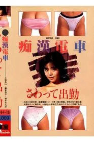 Groper Train: Touching and Going to Work movie poster