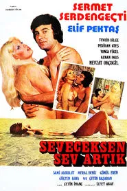 Poster do filme Seveceksen Sev Artık