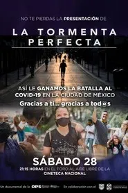 Poster do filme La tormenta perfecta
