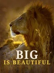Big is Beautiful movie poster