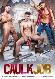 Caulk Job movie poster