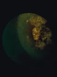 Immaculate Generations no. 1 movie poster