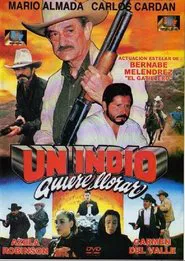 Poster do filme Un indio quiere llorar