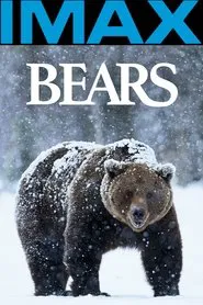 Bears movie poster