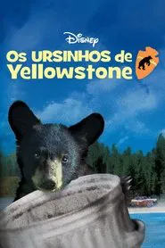 Poster do filme Os Ursinhos de Yellowstone