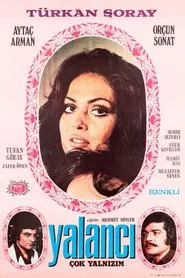 The Liar movie poster