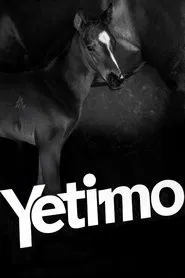 Yetimo movie poster