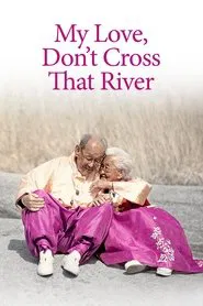 My Love, Don't Cross That River movie poster