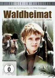 Poster da série Waldheimat
