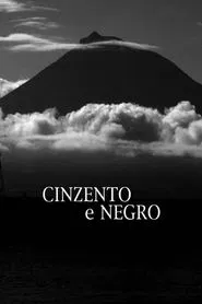 Poster do filme Grey and Black