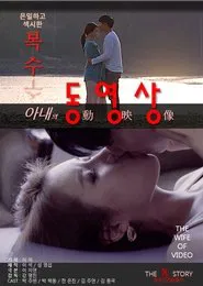 My Wife's Videos movie poster