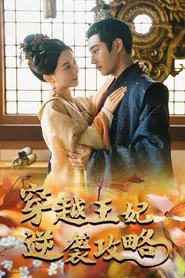 穿越王妃逆袭攻略 tv show poster