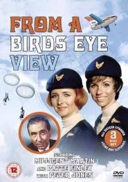 From a Bird's Eye View tv show poster