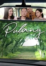 Poster do filme Pulang
